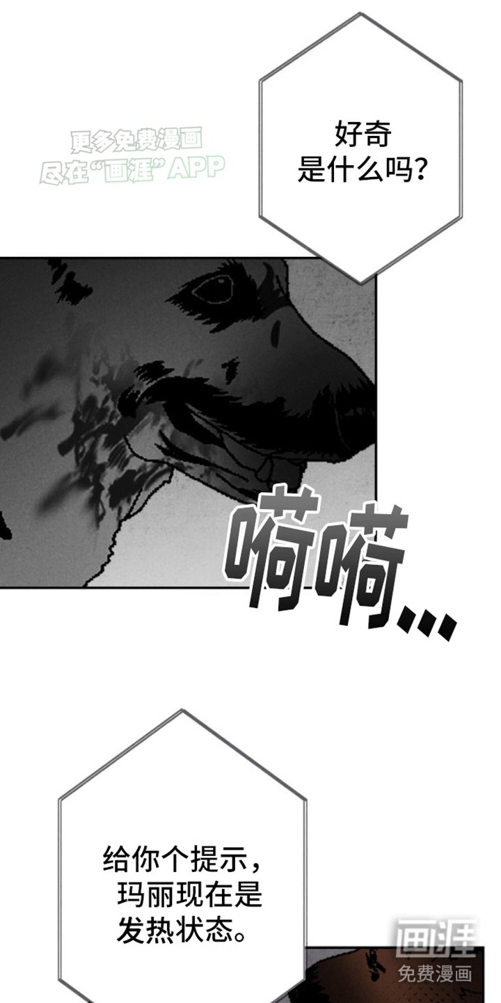 第17章：新游戏