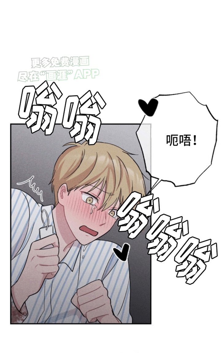 第21章：帮助