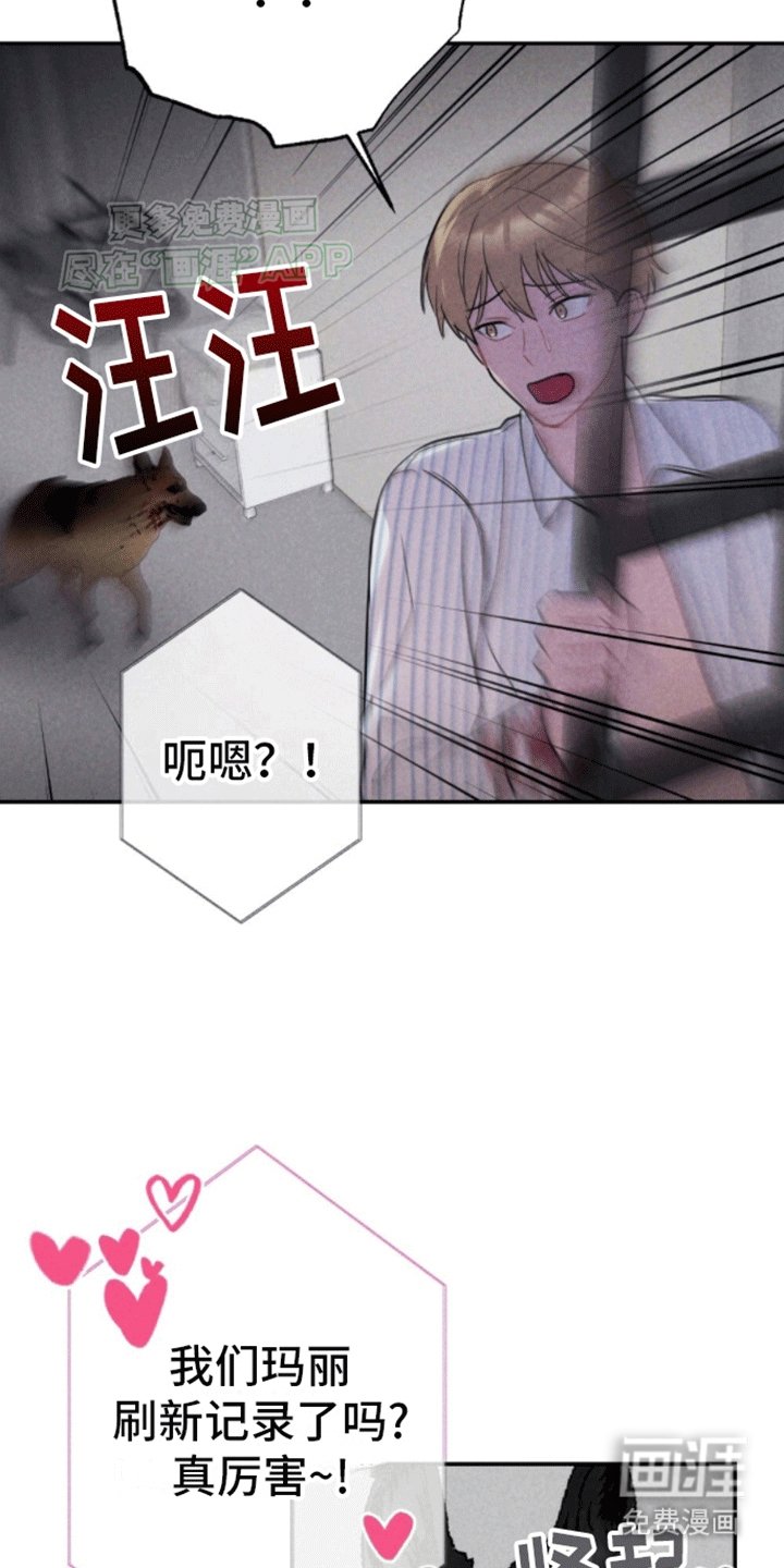 第23章：逃出