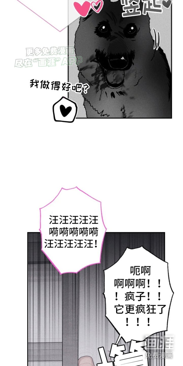 第23章：逃出