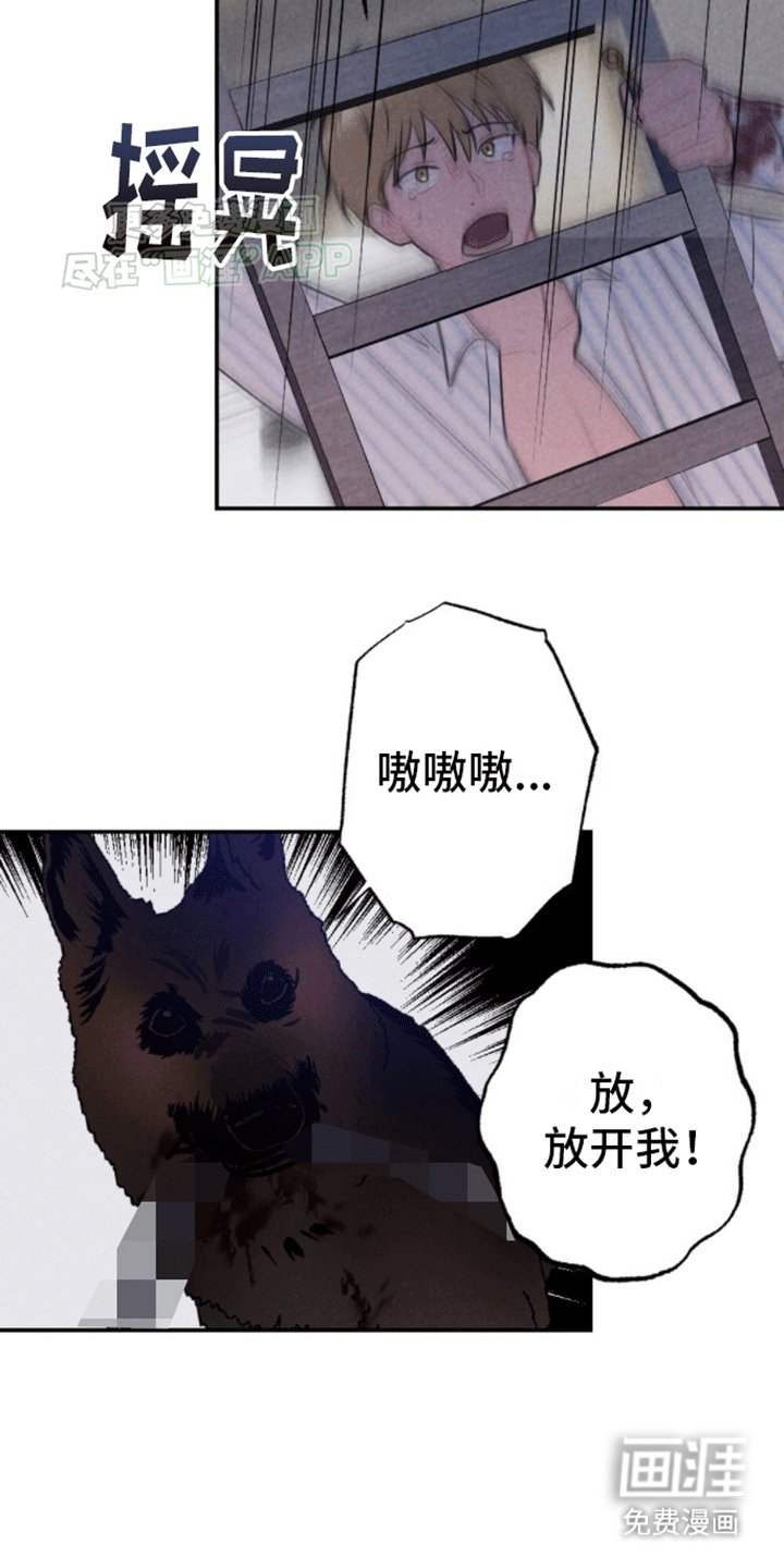 第23章：逃出