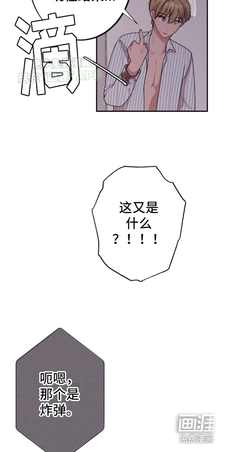 第24章：炸弹