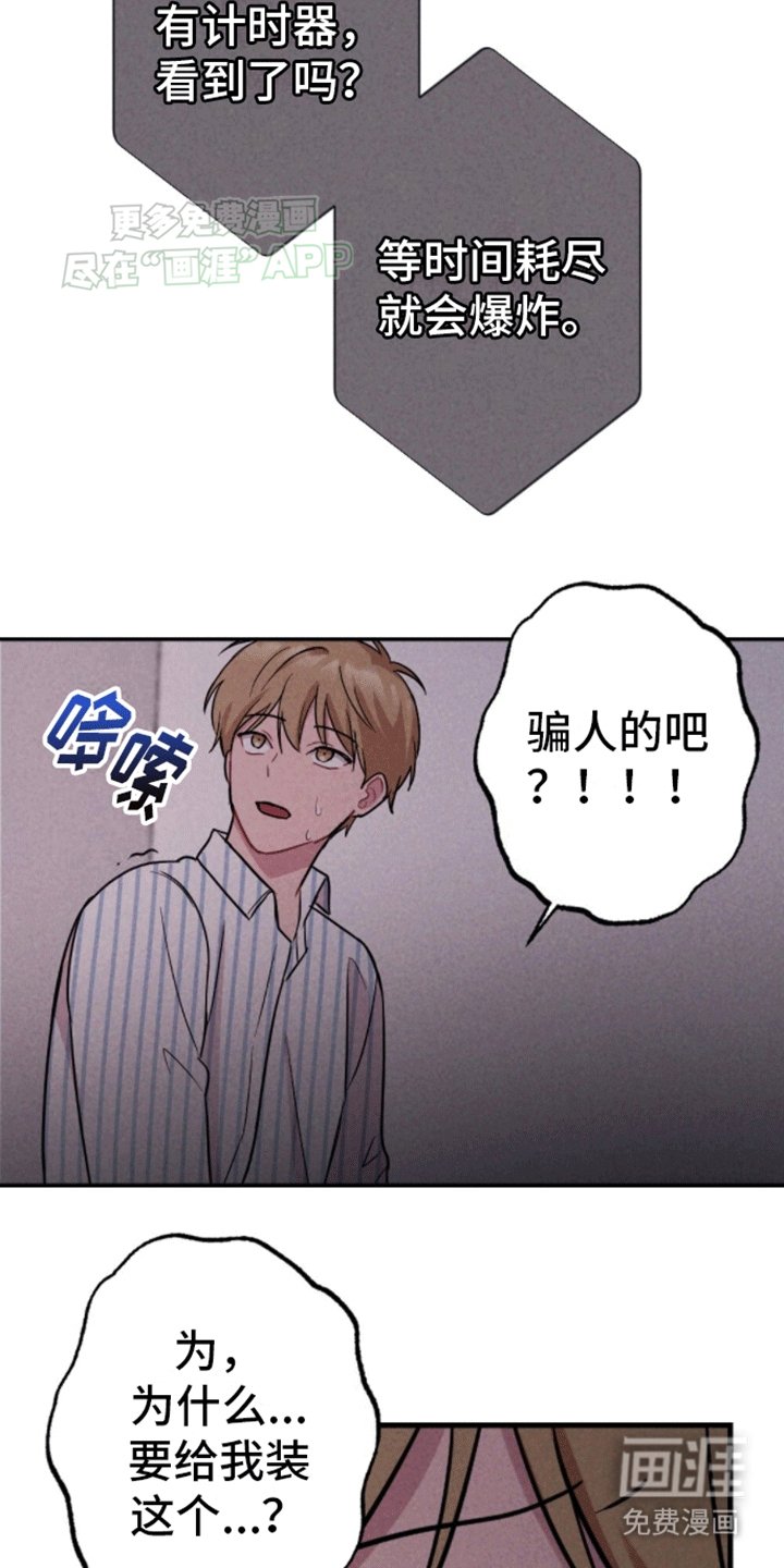 第24章：炸弹