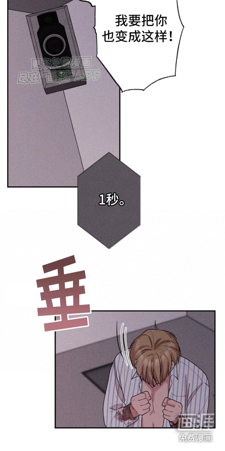 第24章：炸弹