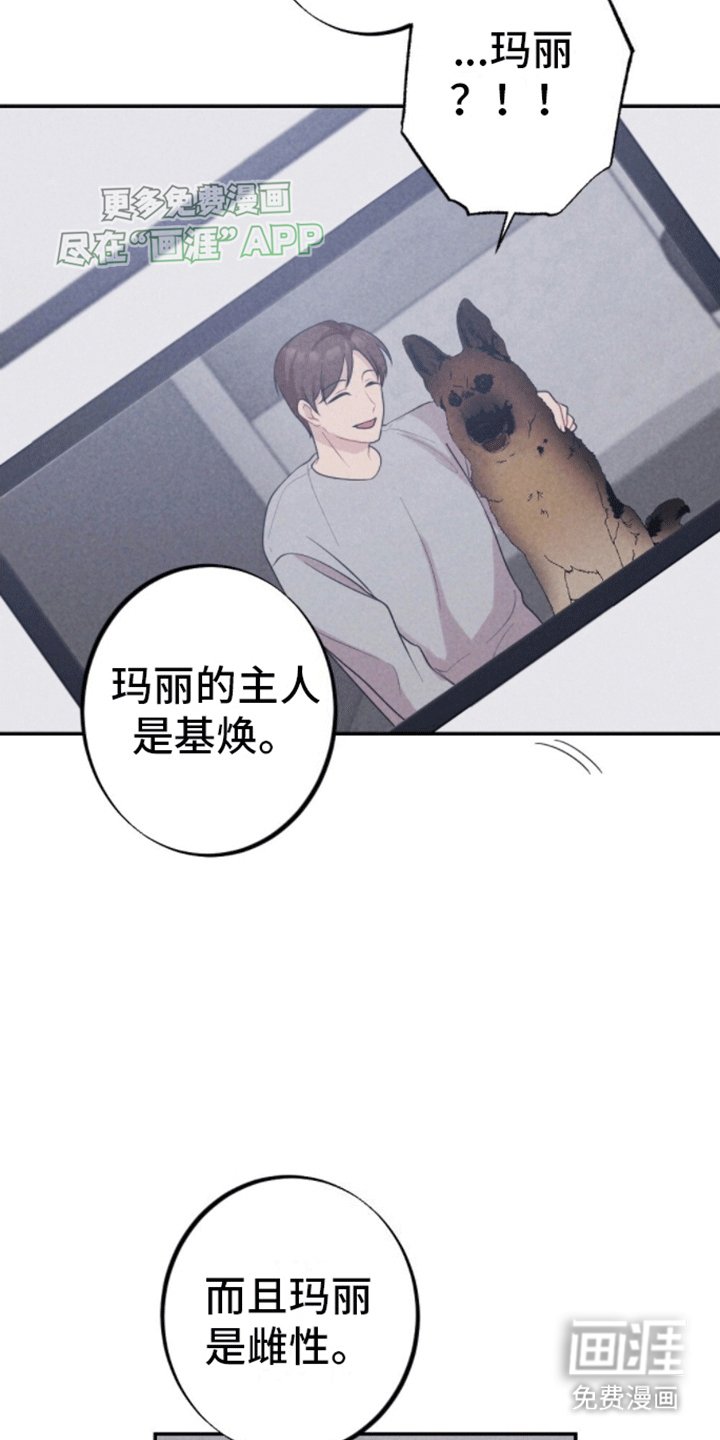 第27章：以爱为名