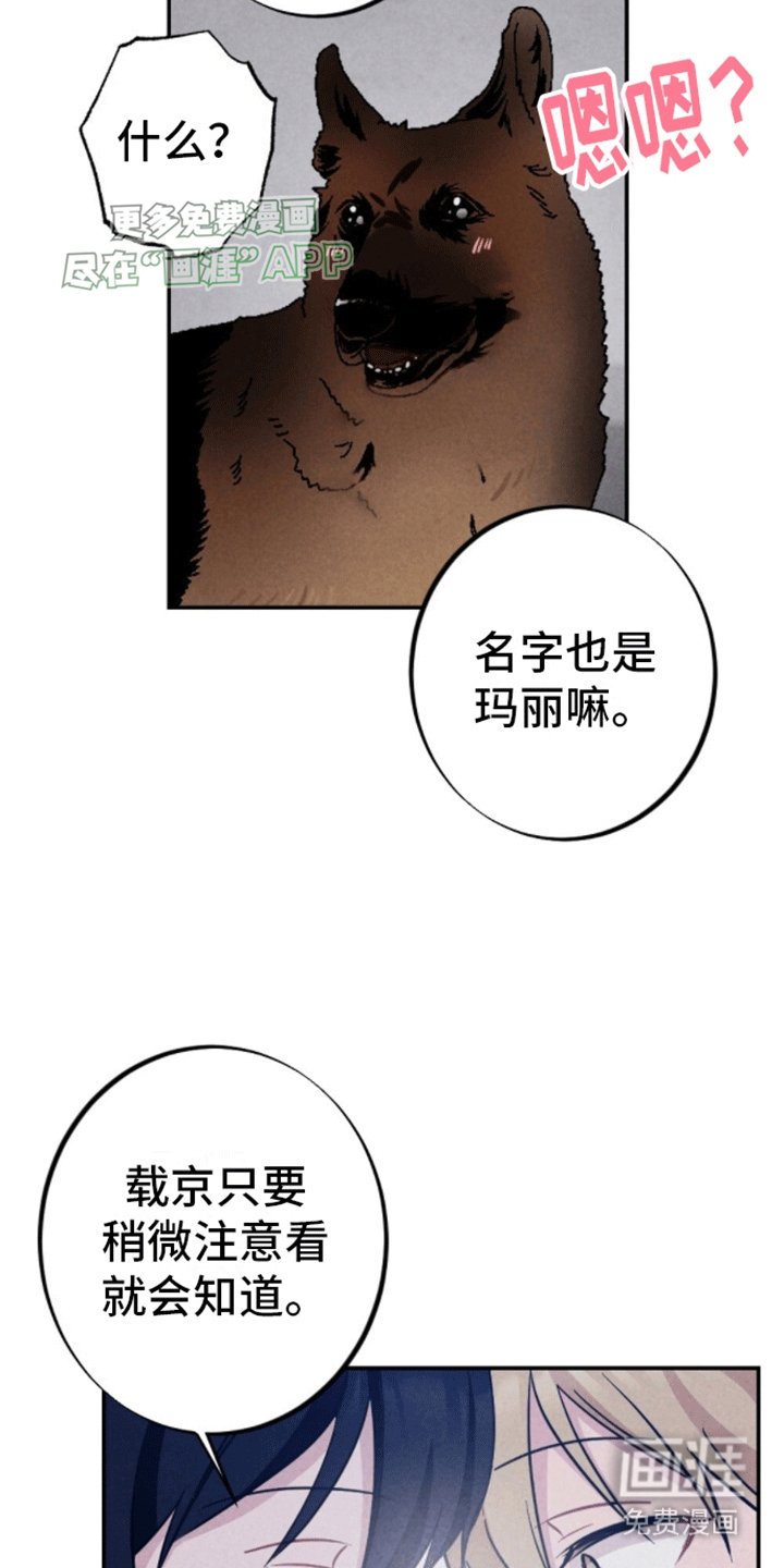 第27章：以爱为名