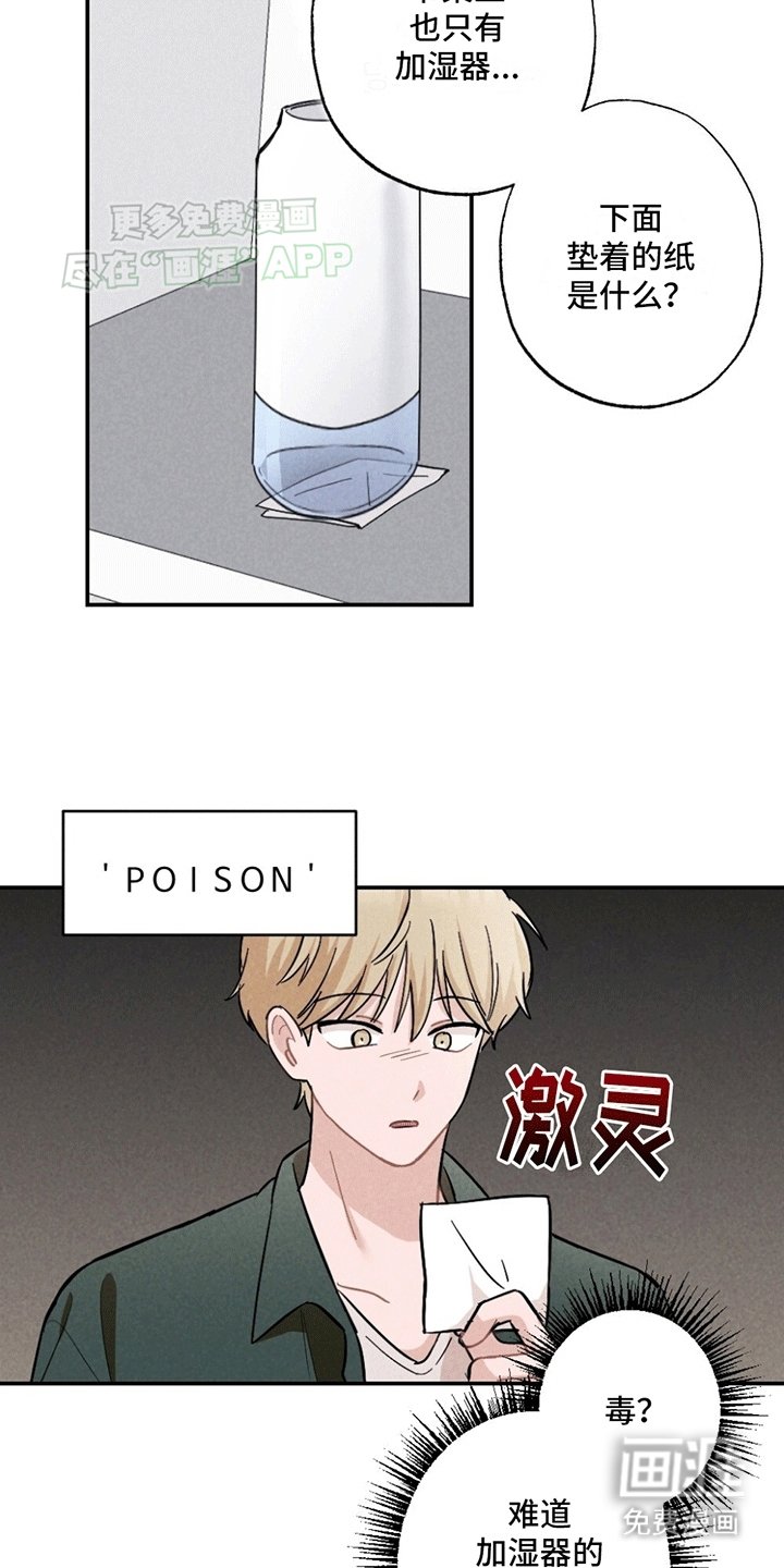 第3章：没有他的照片