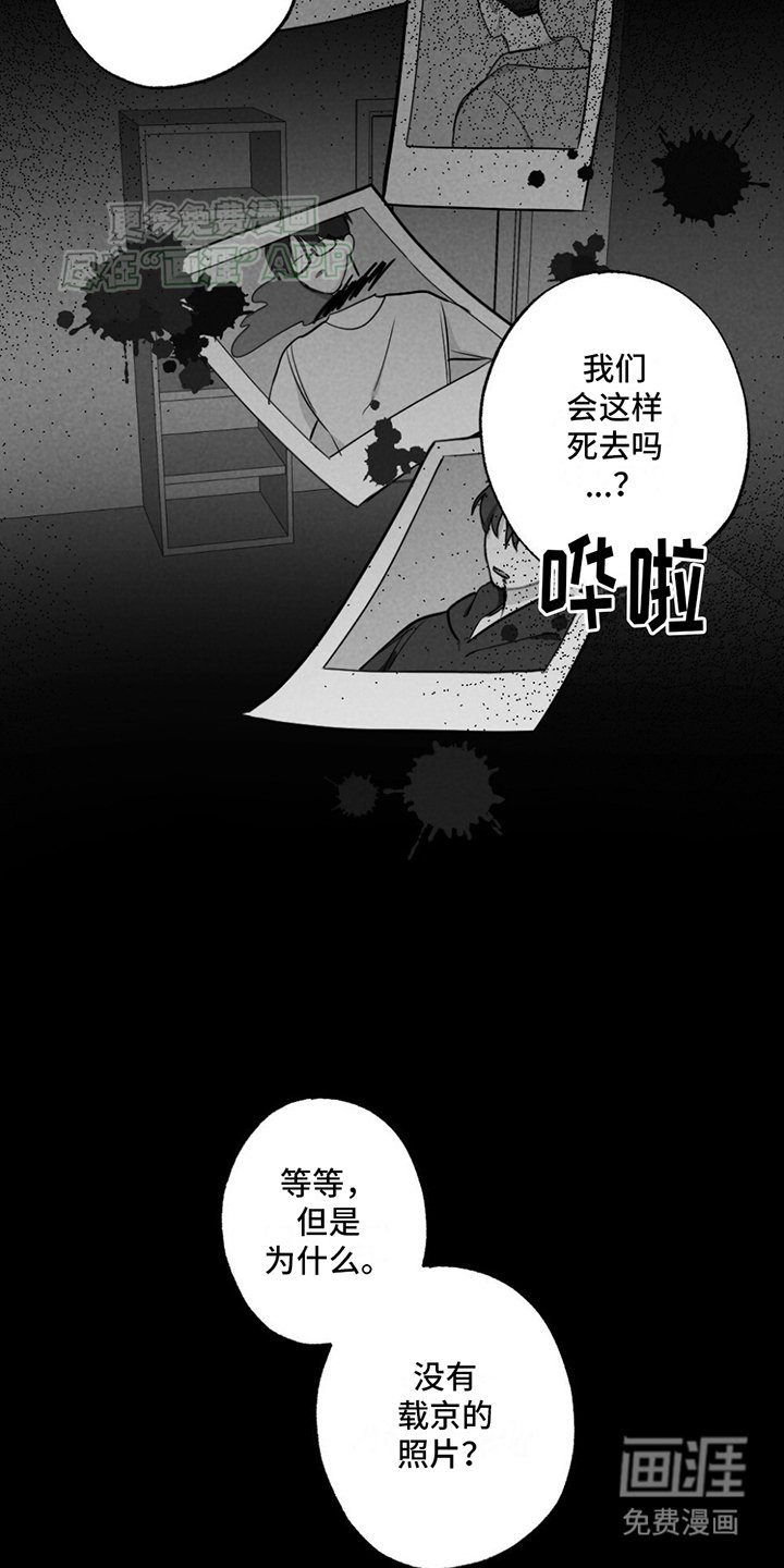 第3章：没有他的照片