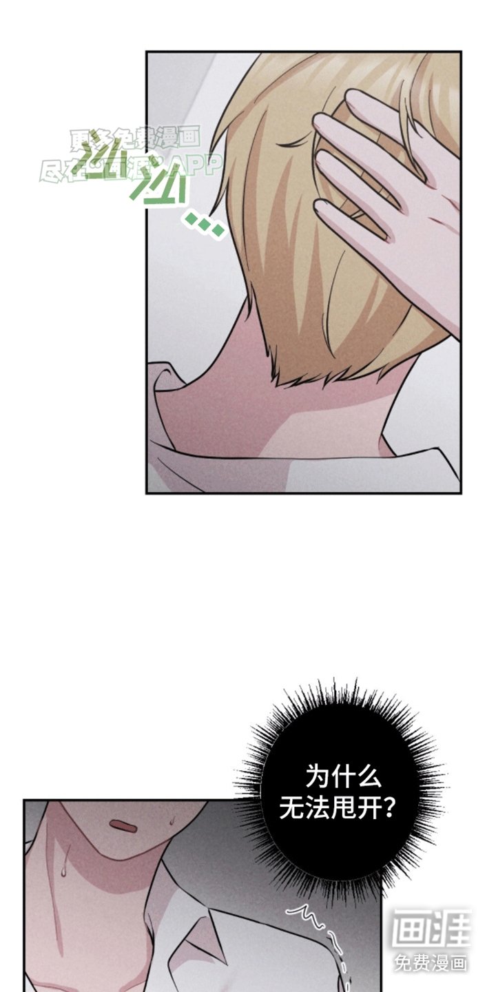 第9章：疯子