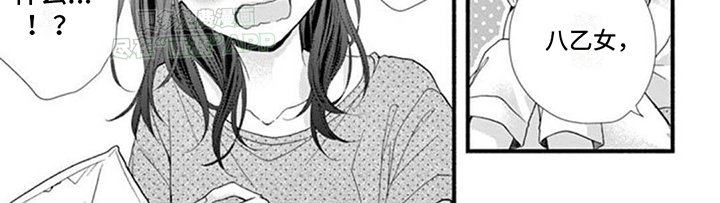 第19章：借用