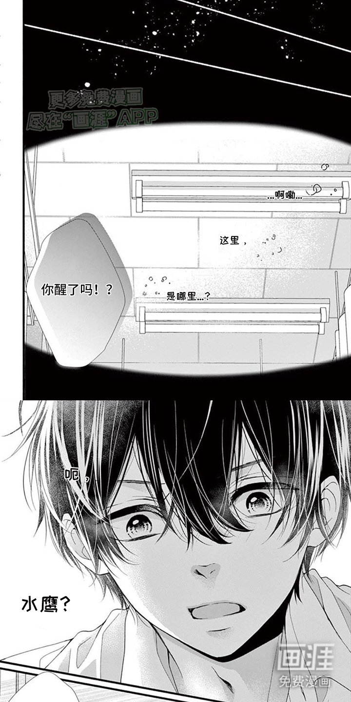 第4章：交换