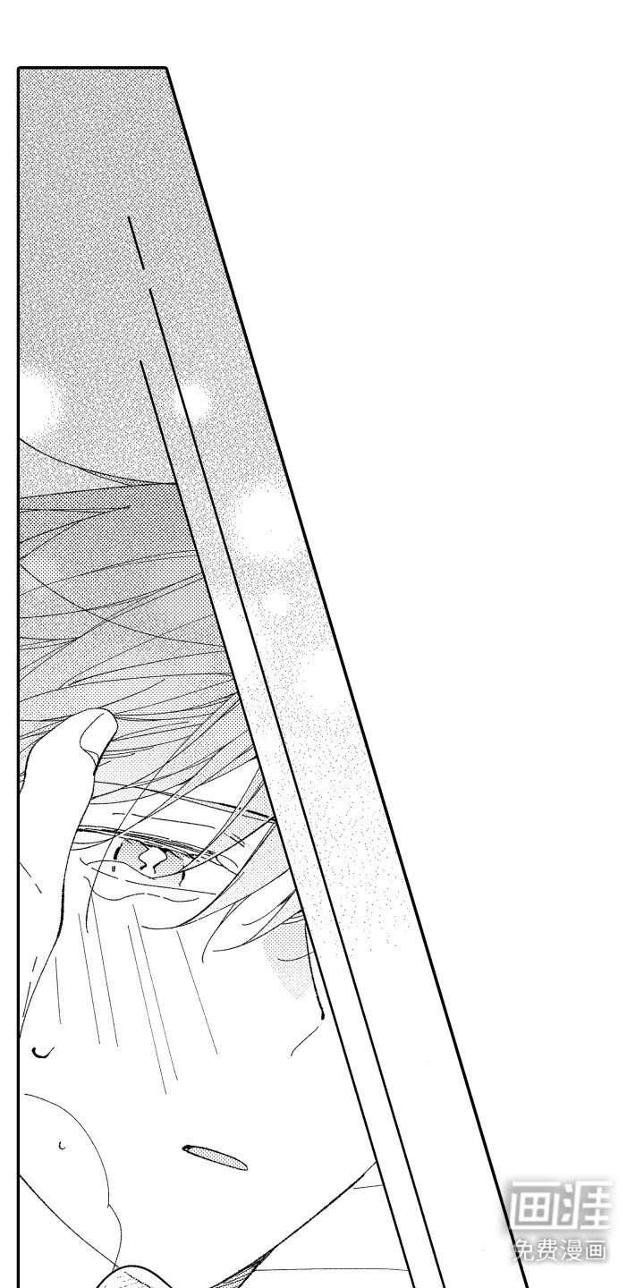 第17章：实地考察