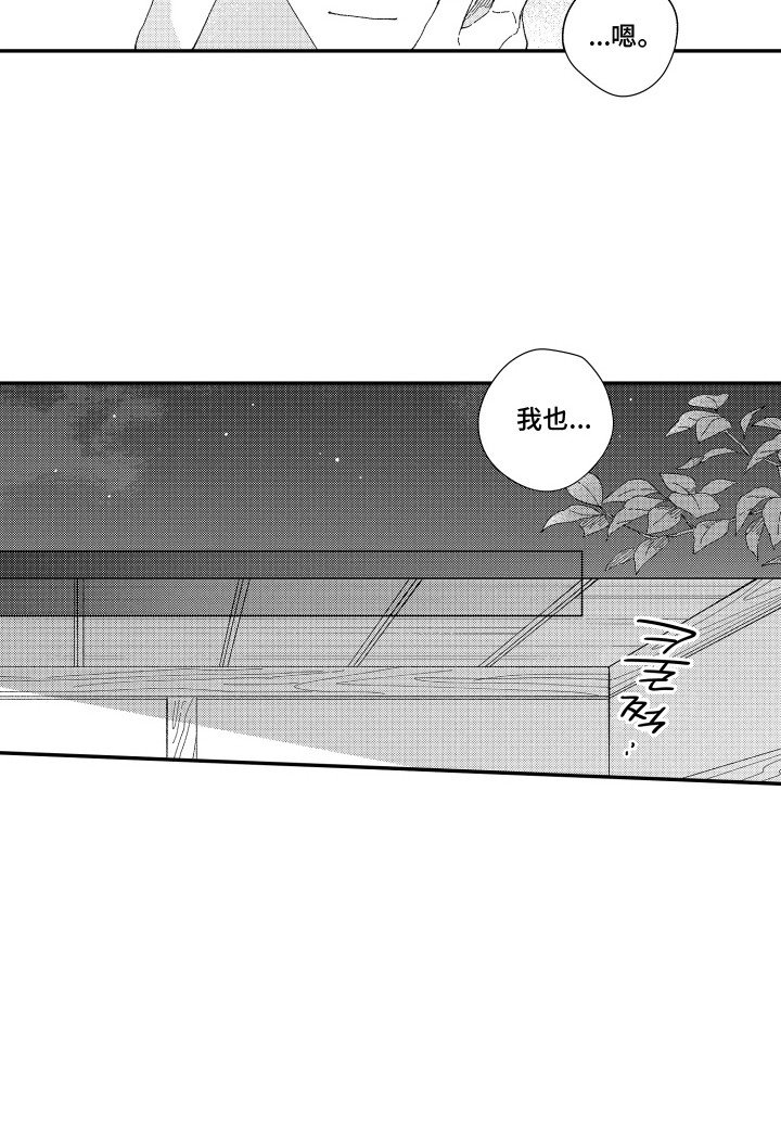 第20章： 限定企划