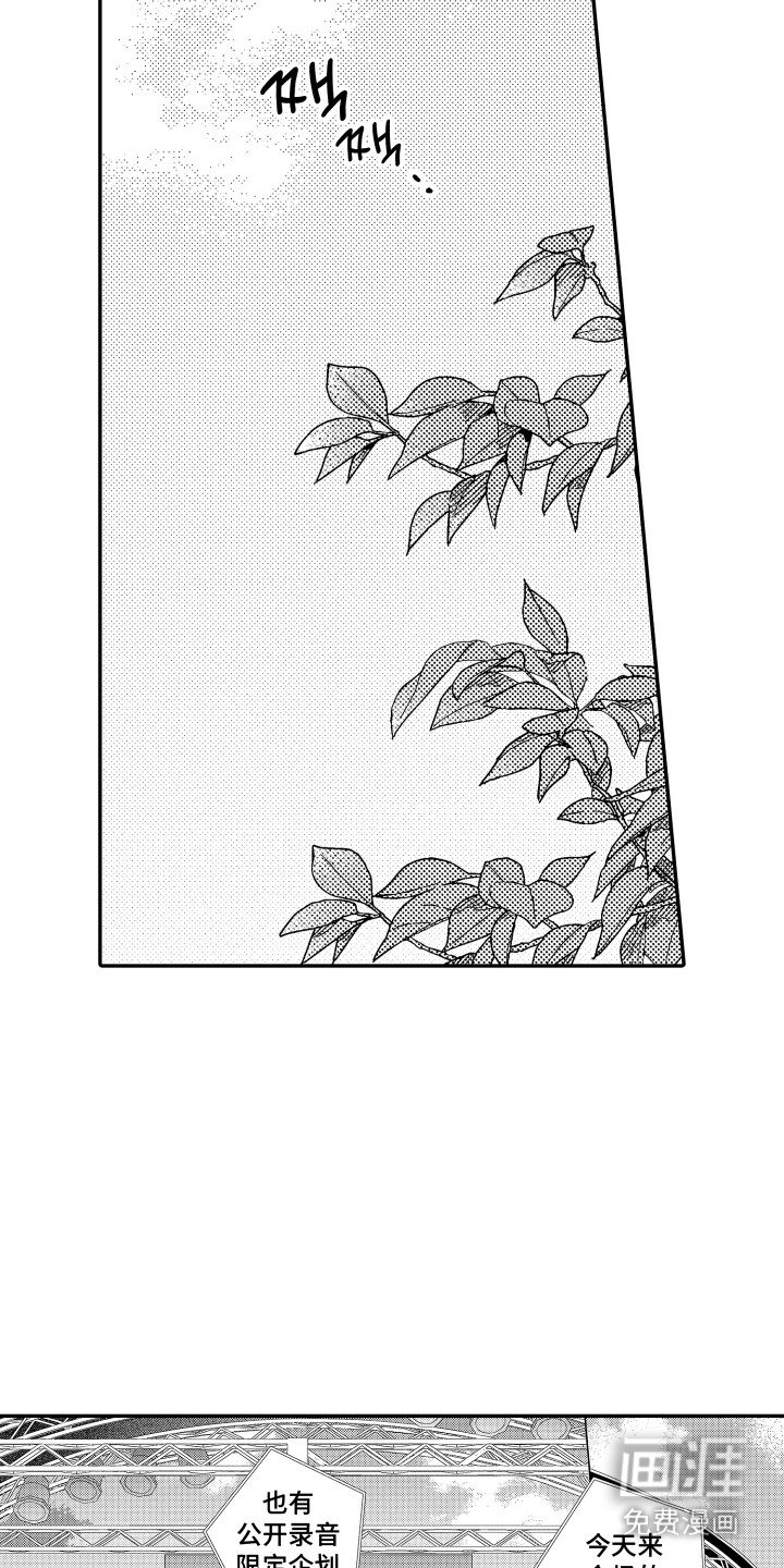 第20章： 限定企划