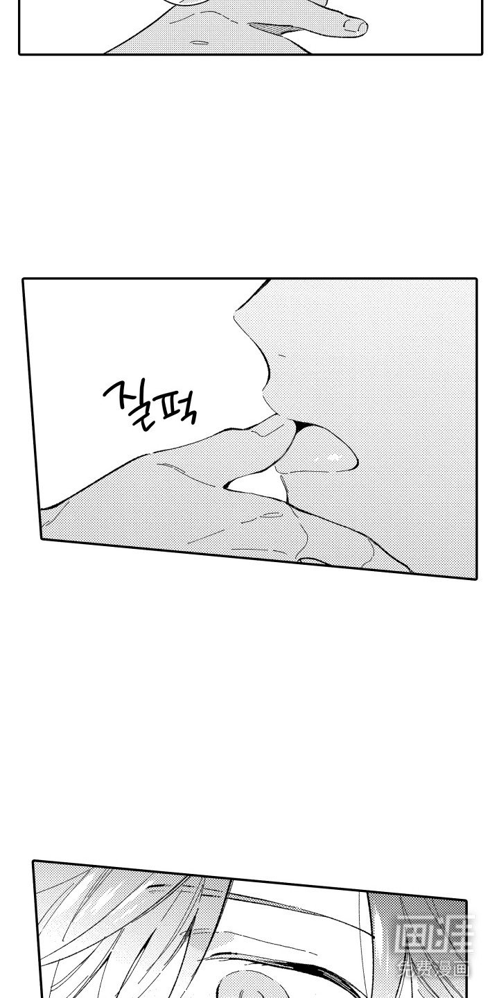 第3章：练习