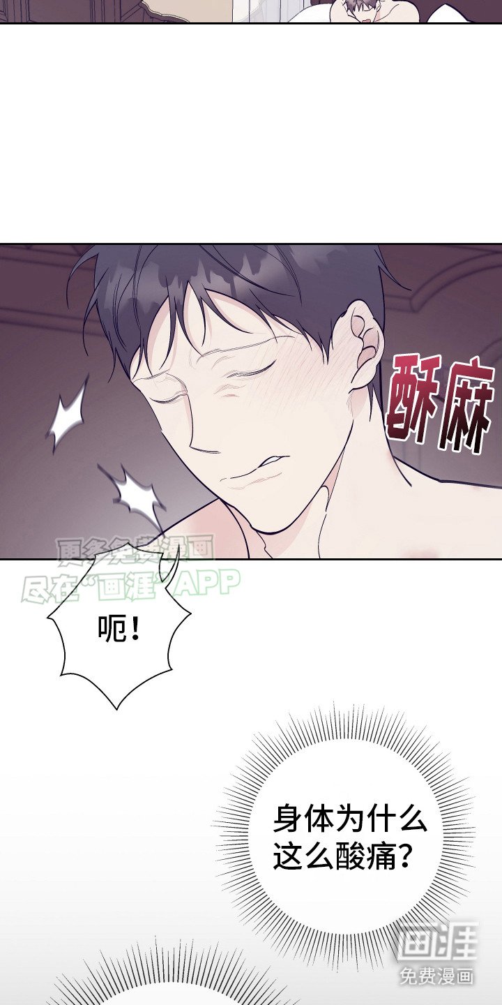 第11章：调查