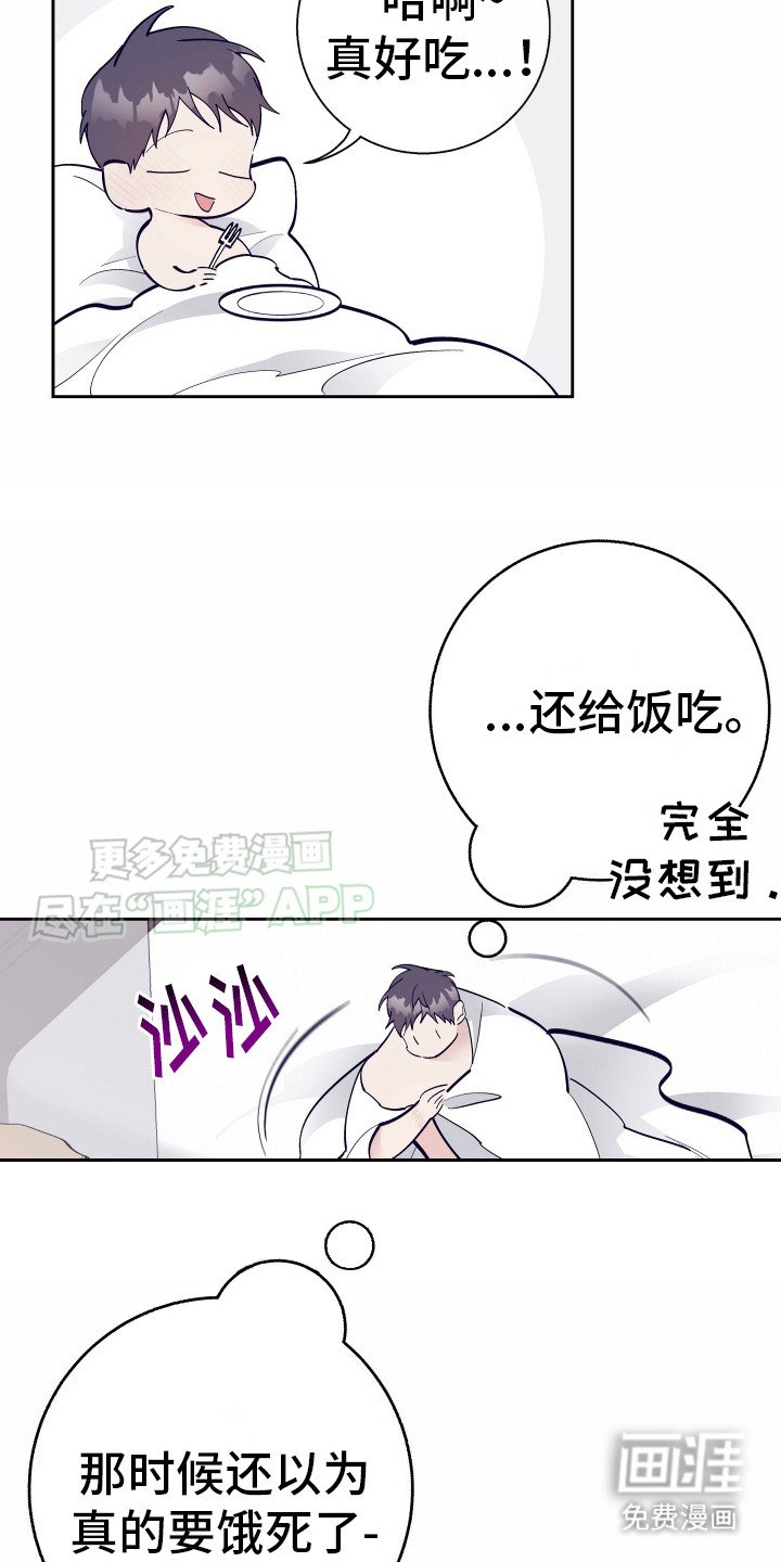 第11章：调查