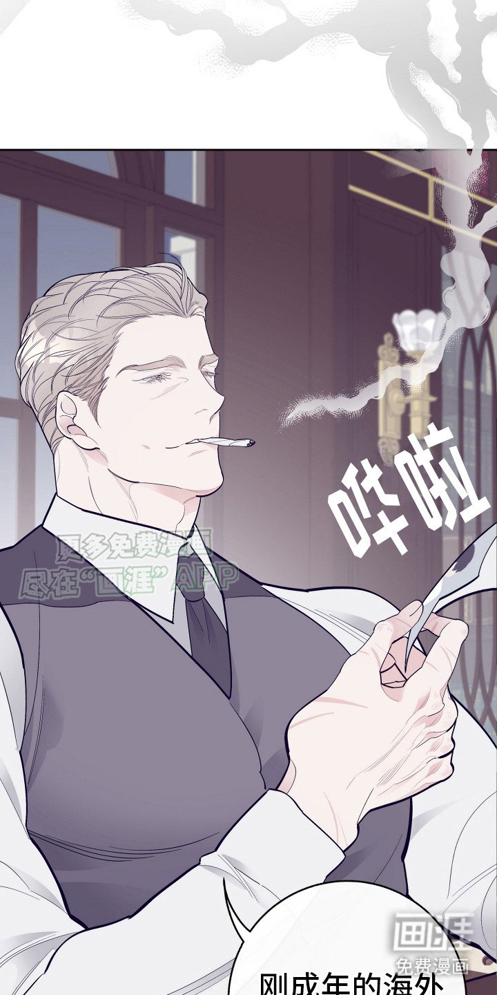 第11章：调查