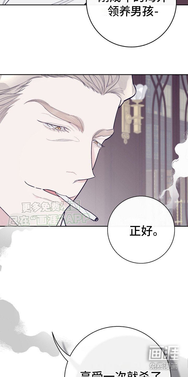 第11章：调查