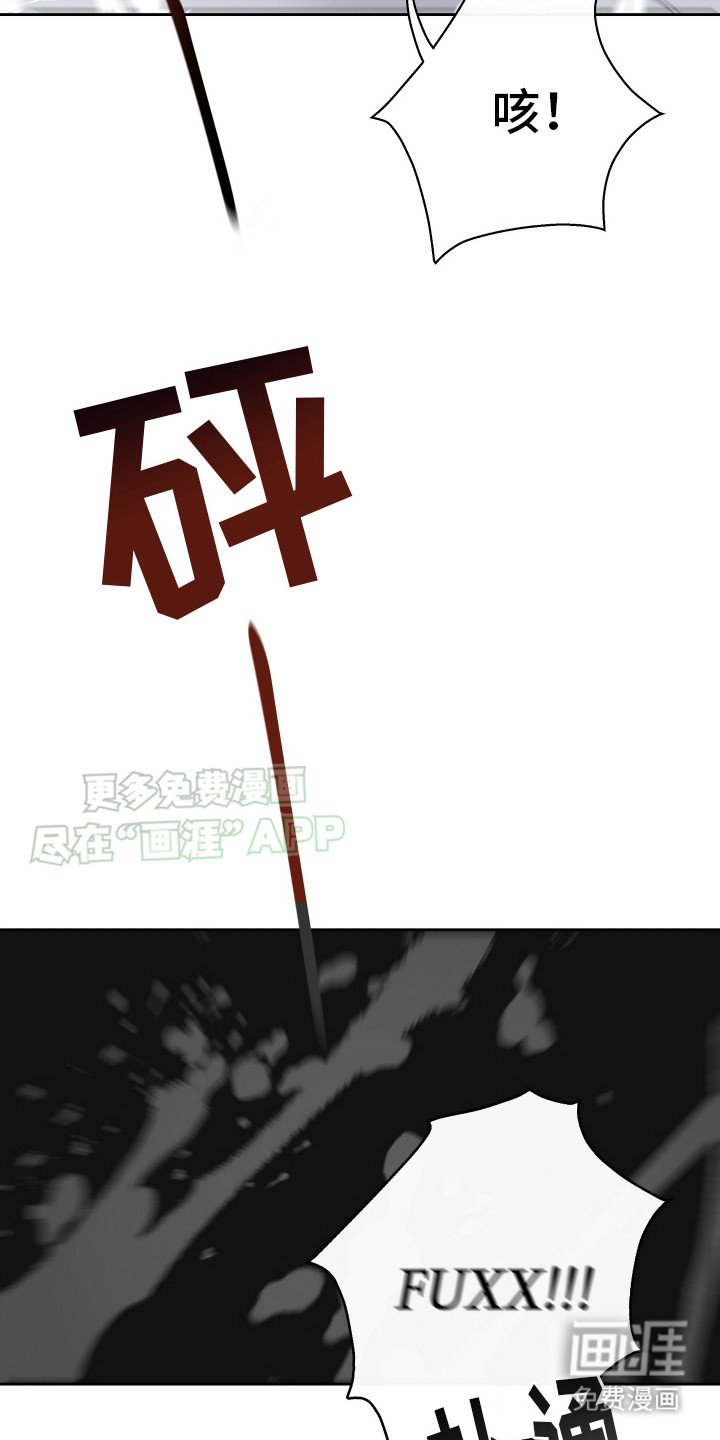 第14章：刺客