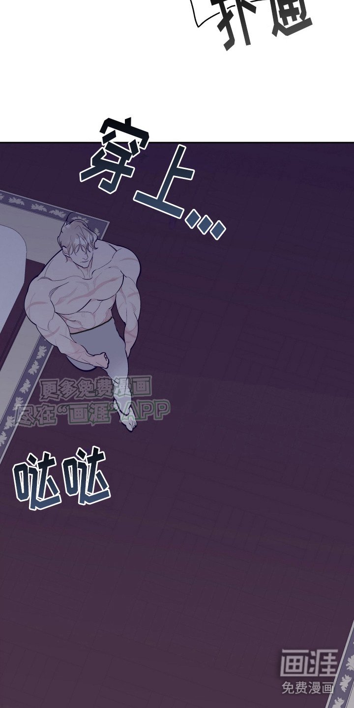 第14章：刺客