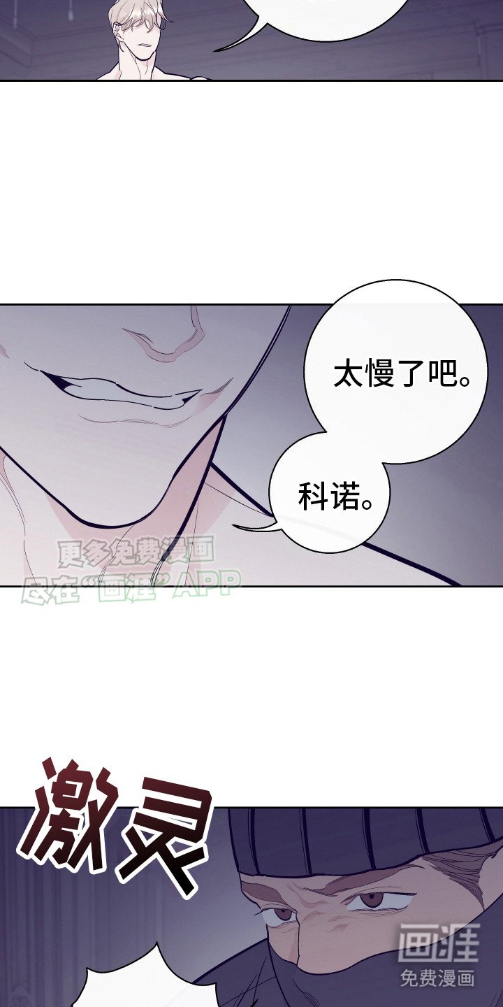 第14章：刺客
