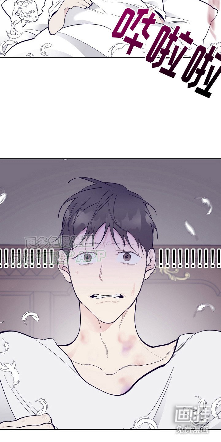 第14章：刺客