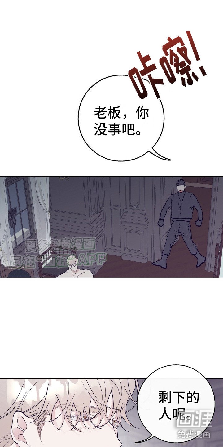 第14章：刺客