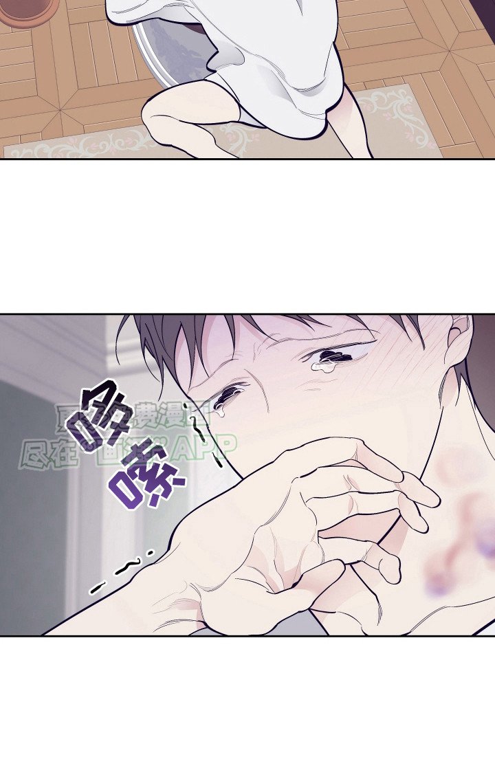 第14章：刺客