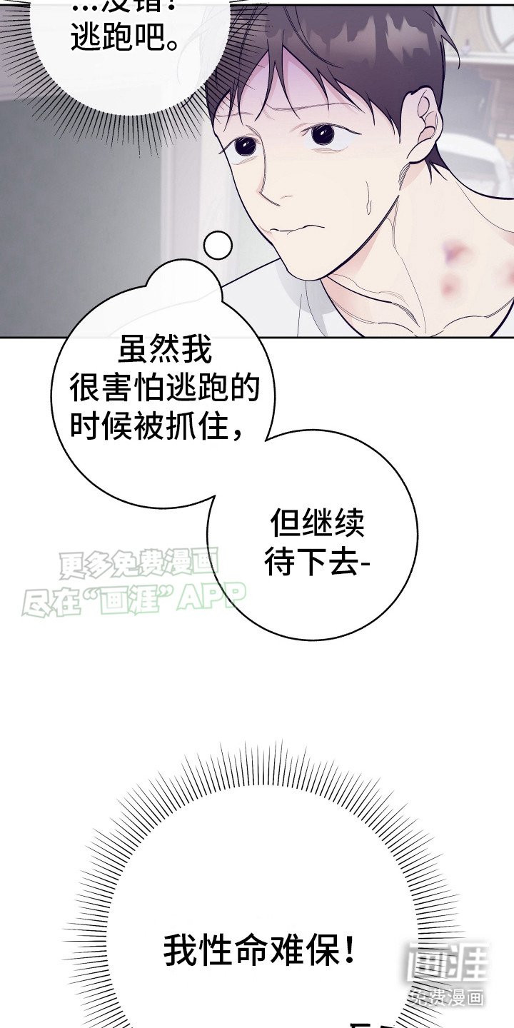 第14章：刺客