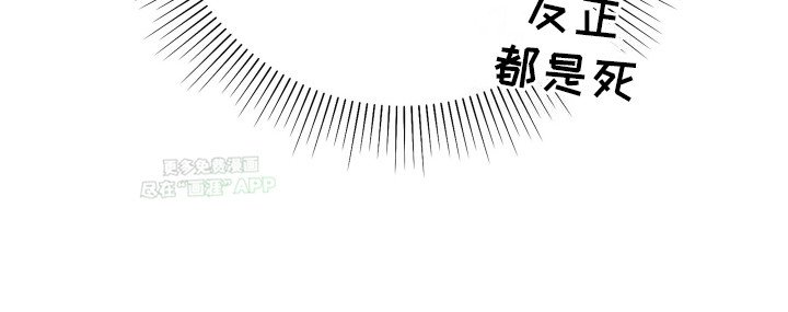 第14章：刺客