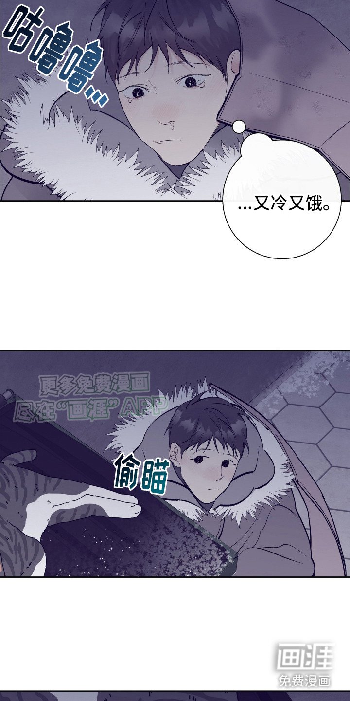第2章：无家可归
