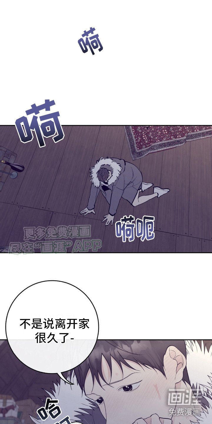 第6章：偷看