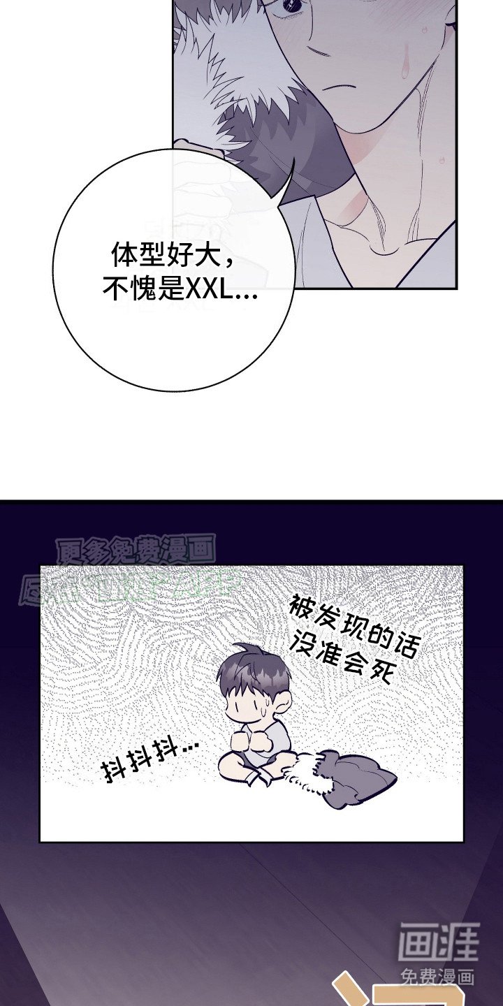 第6章：偷看