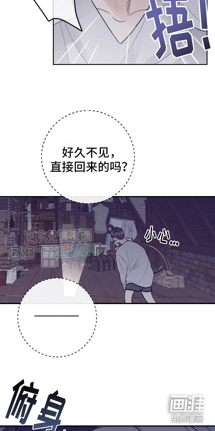 第6章：偷看