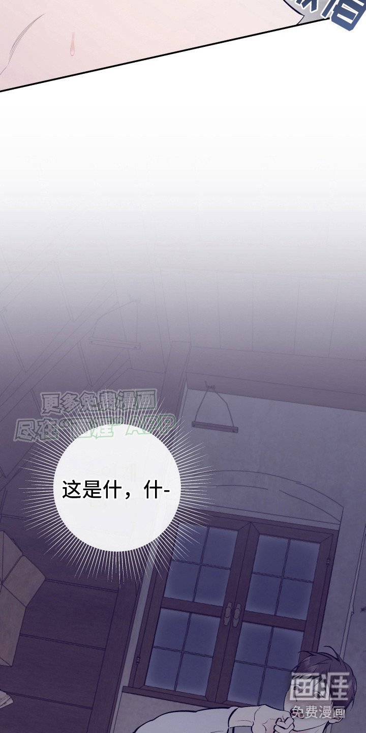 第6章：偷看