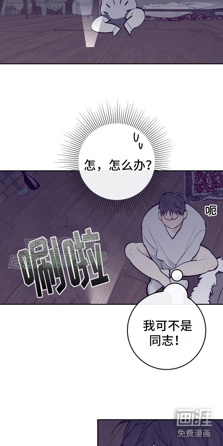 第6章：偷看