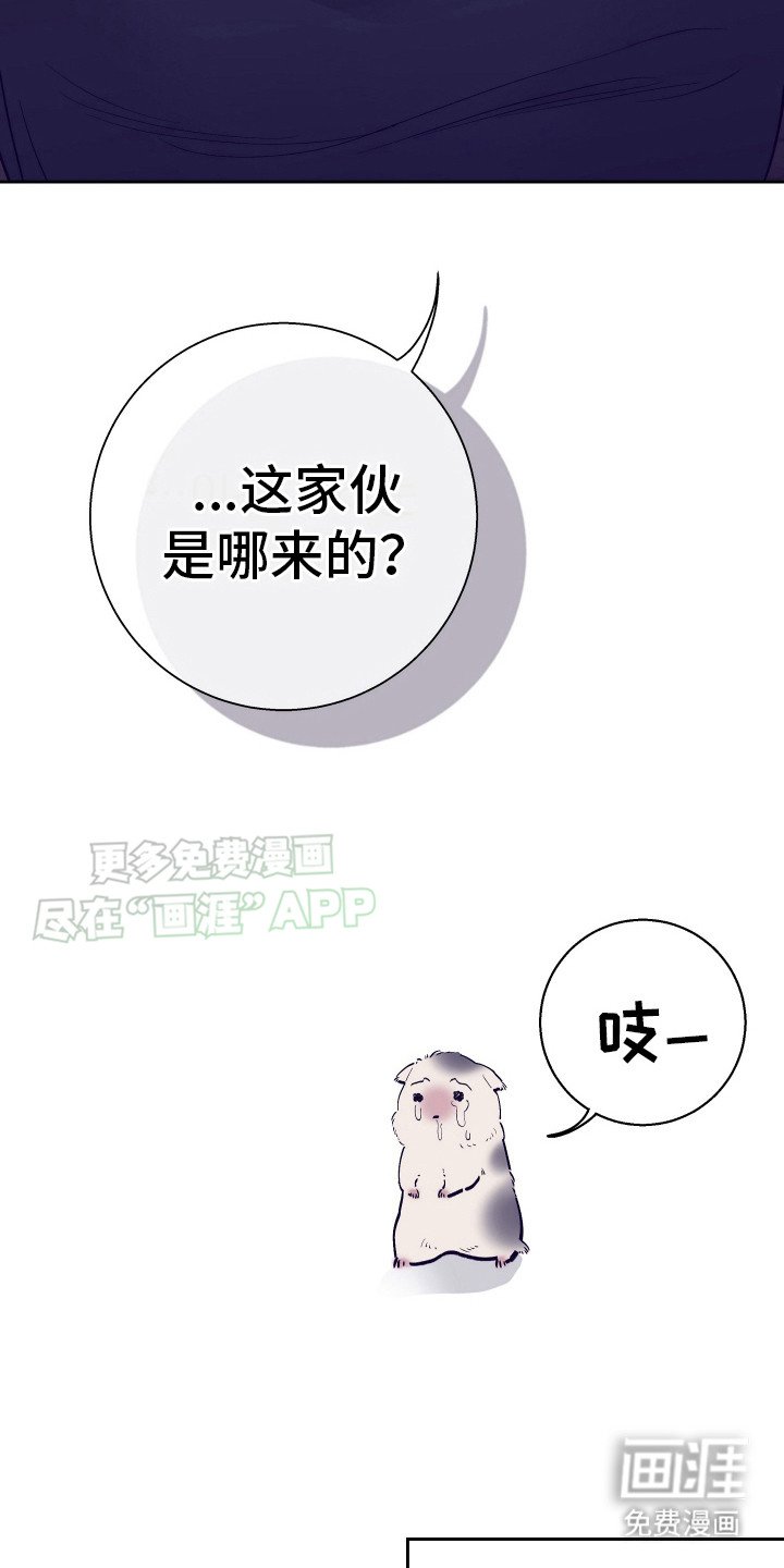 第8章：被抓住 