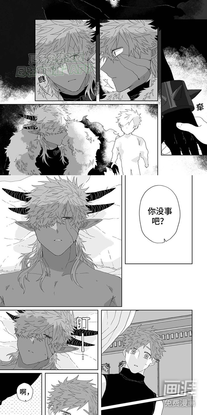 第11章：照顾
