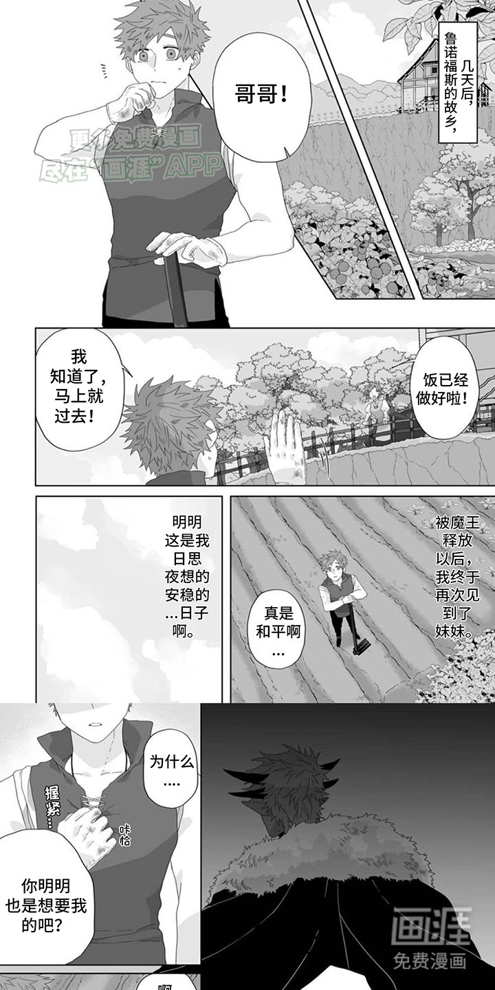 第14章：宽慰
