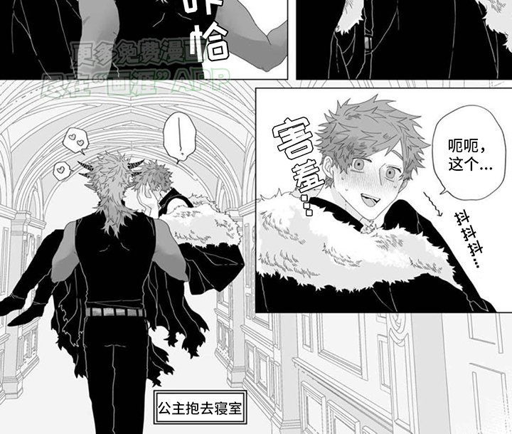 第17章：缔结条约