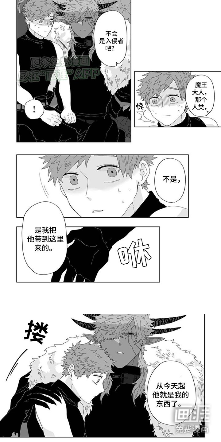 第3章：他的东西