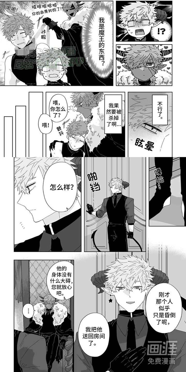 第3章：他的东西