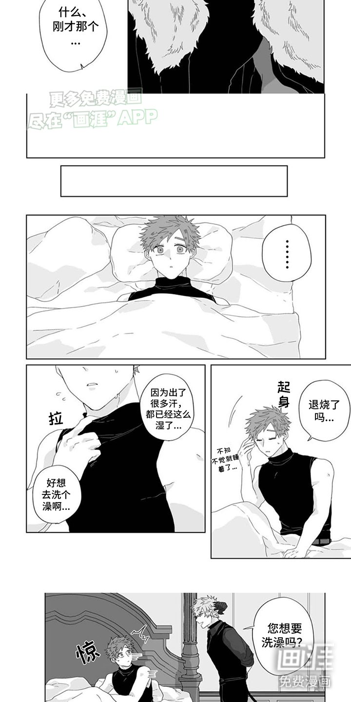 第8章：发烧