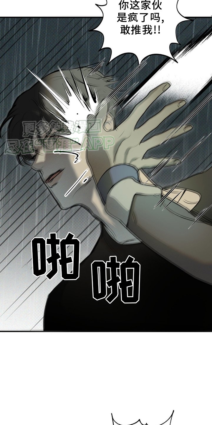 第10章：毁容