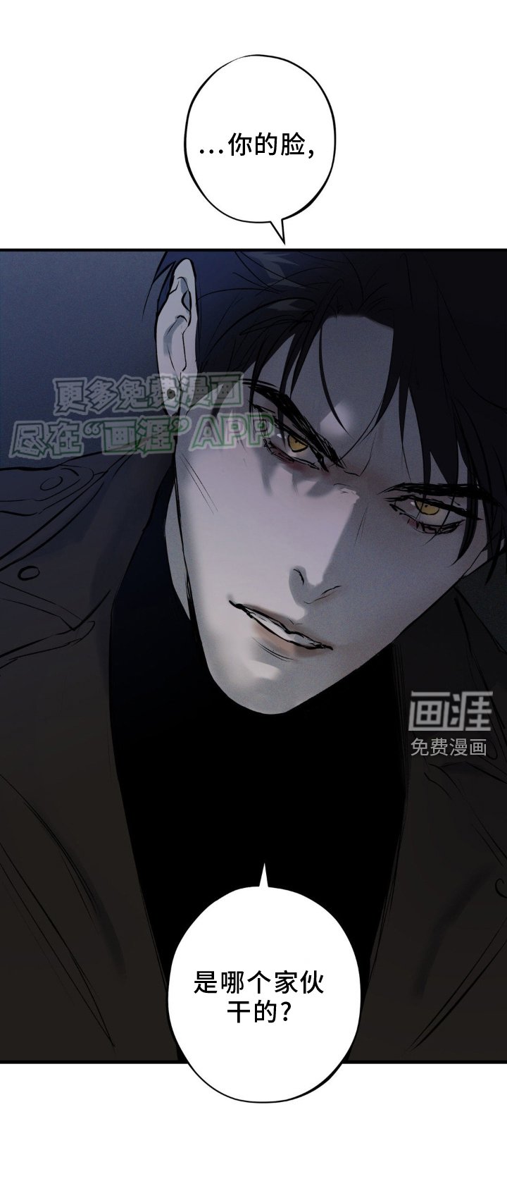 第10章：毁容