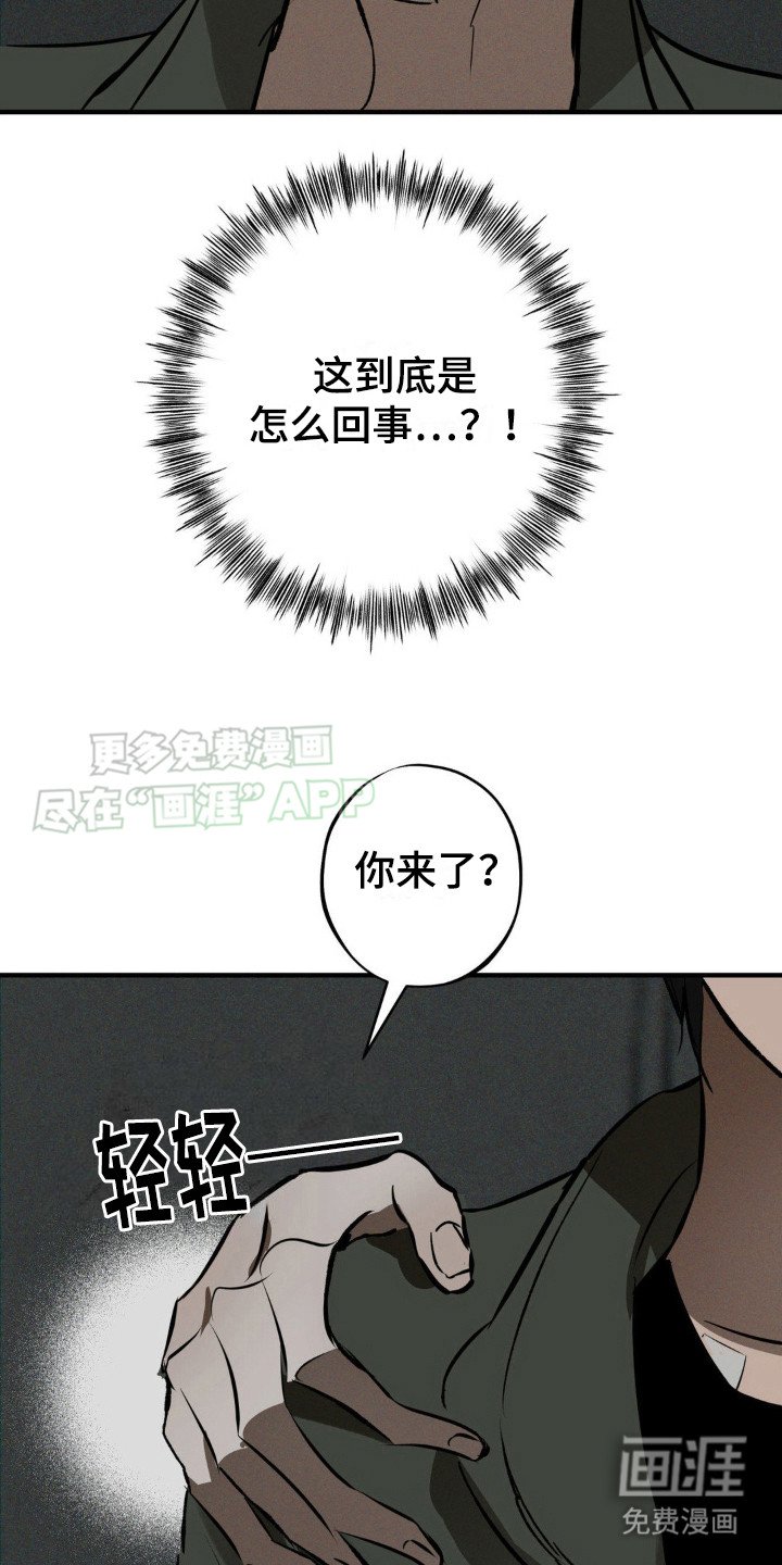 第12章：选择