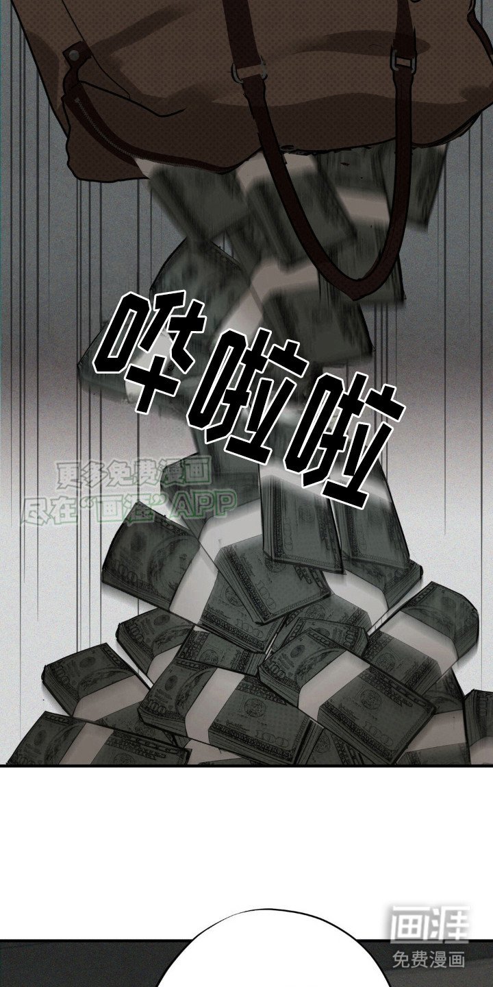 第12章：选择