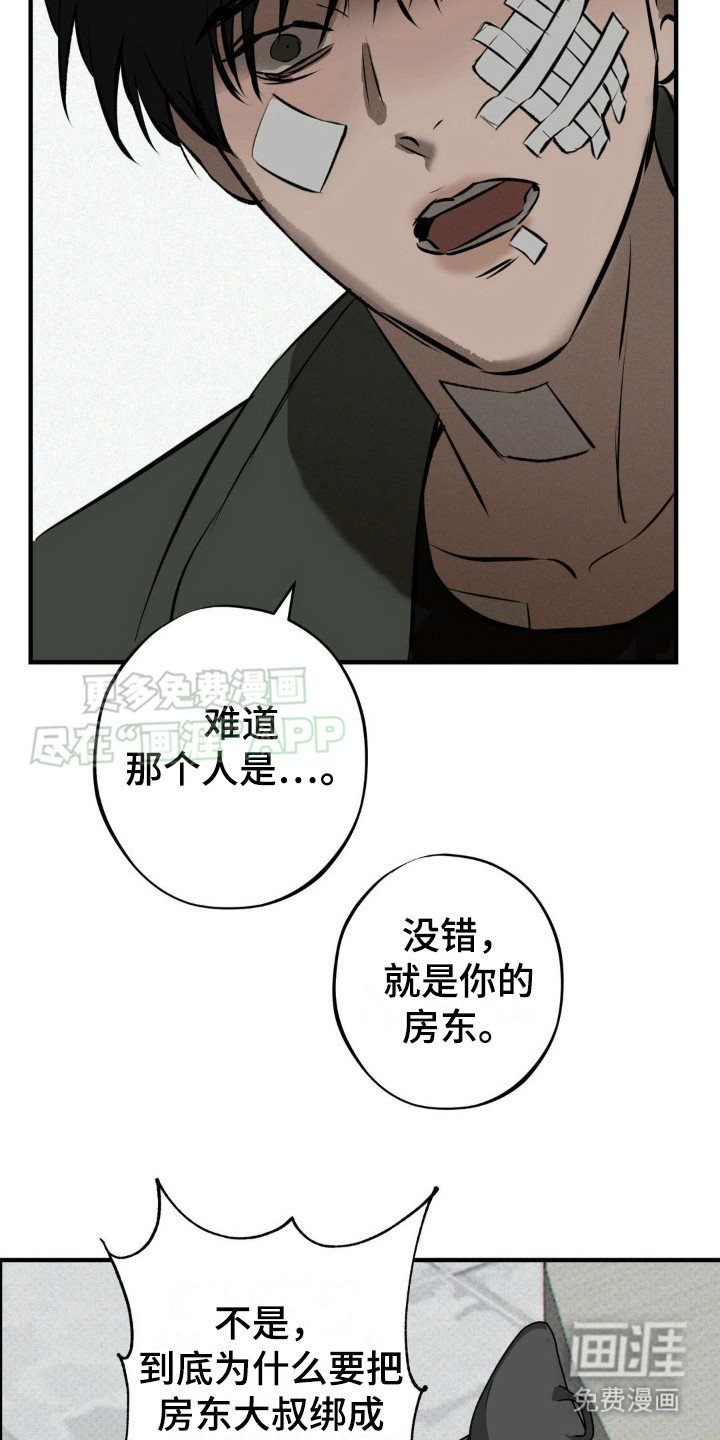 第12章：选择