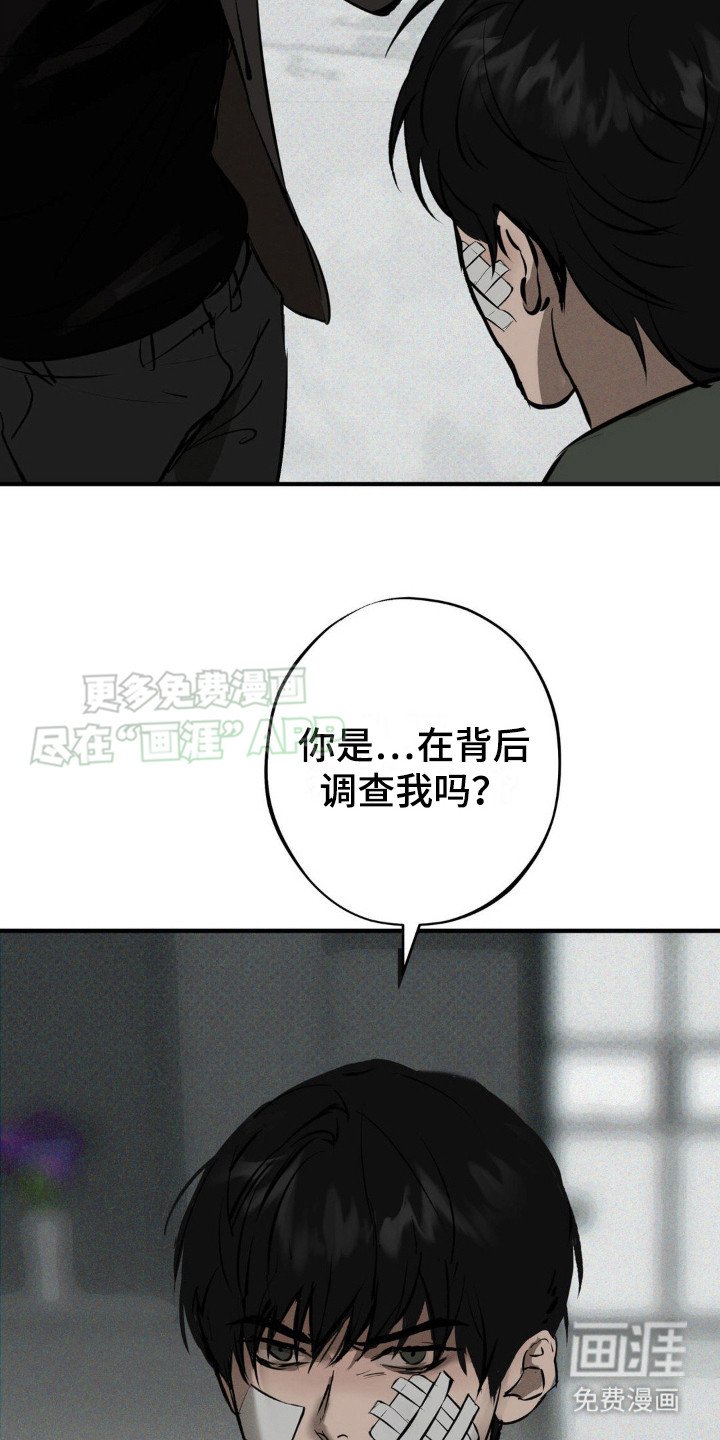 第12章：选择